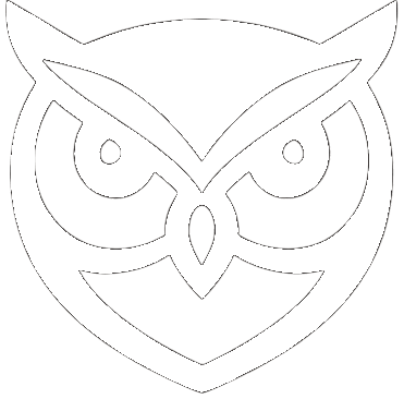 WebWise Solutions LLC